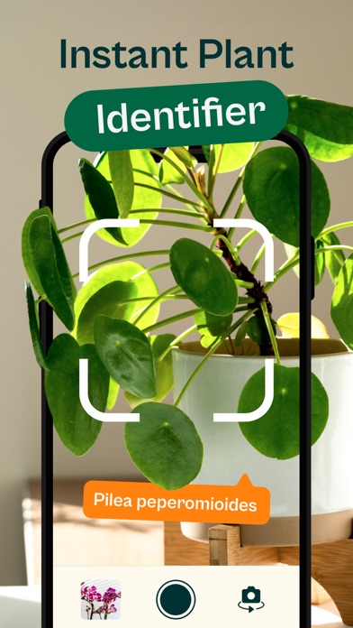 Identification d'une plante dans Plant Calendar