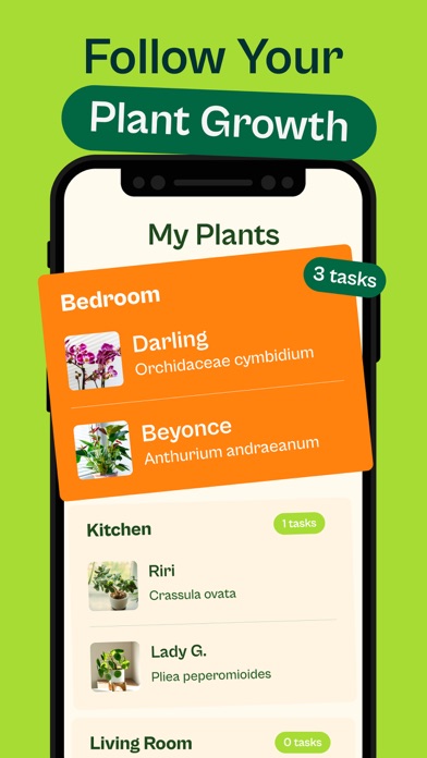 Collection de plantes et tâches de soin dans Plant Calendar